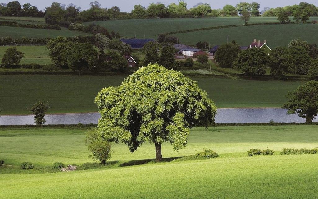 Land for Sale – Hertfordshire