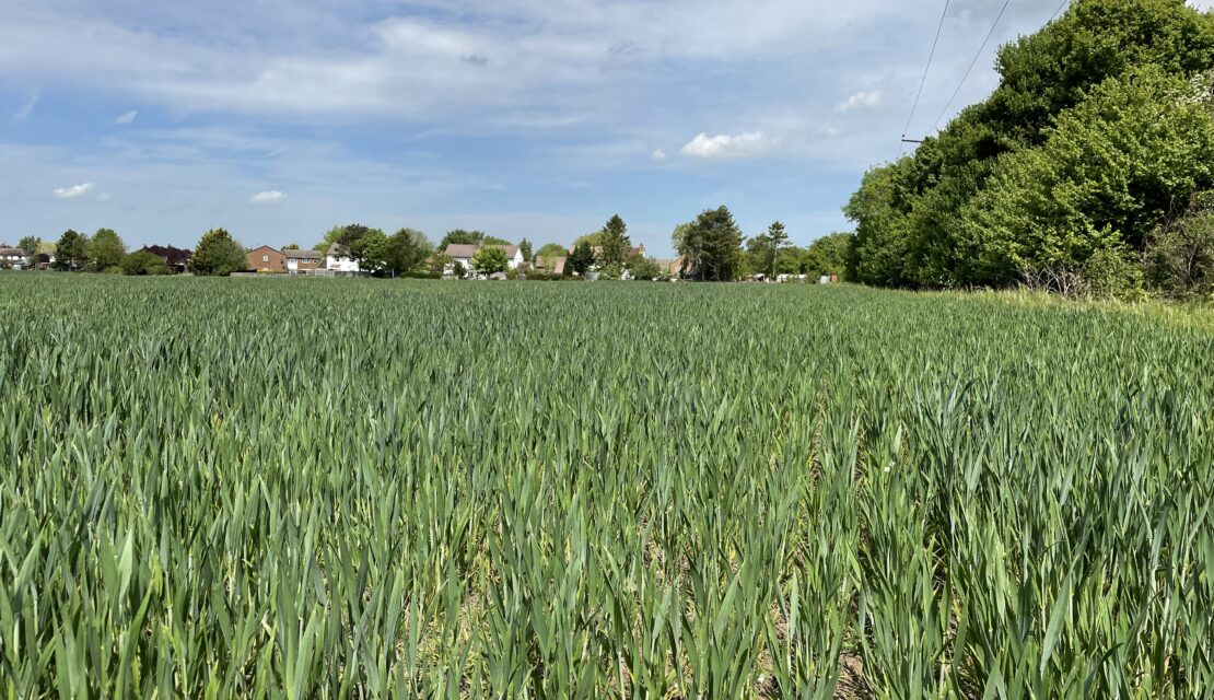 Land for Sale in Hertfordshire