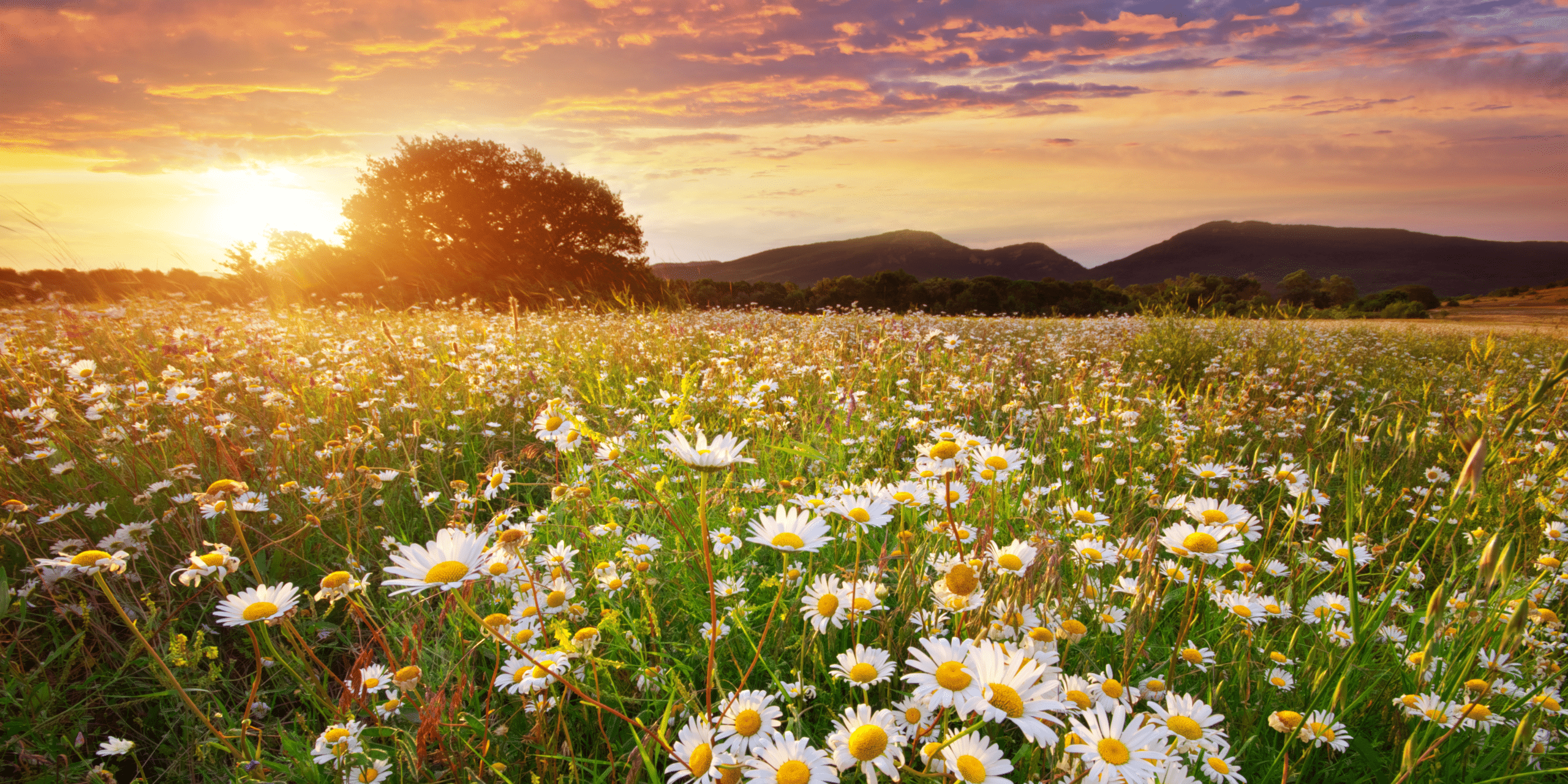 Agricultural Land Market Summary